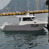 8.8m x 28m双体船渔船